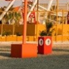 liwadesertsafari