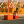 liwadesertsafari