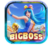 bigboss2org