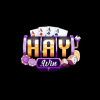 haywin2026com
