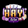 Haywin4com