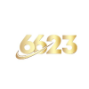 link6623vnnet