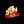 sunwin81org